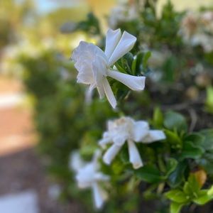 Meet your Posher, Rynn